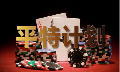2024年正版全年材料大全