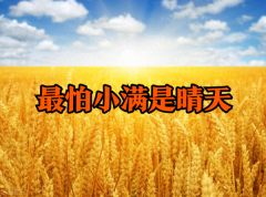 <b>“最怕小全是好天” 好天啥前兆？看农谚咋说</b>