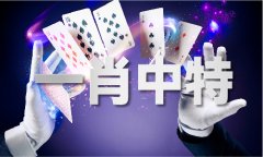 更多关于今晚出到什么码的问题_更多关于今晚出