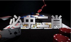 新加坡小学问V61